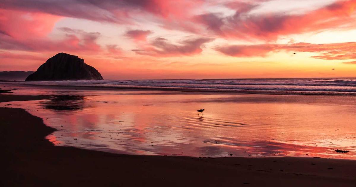 Turn Possibility into Reality: How to Ignite Your Business in 2025