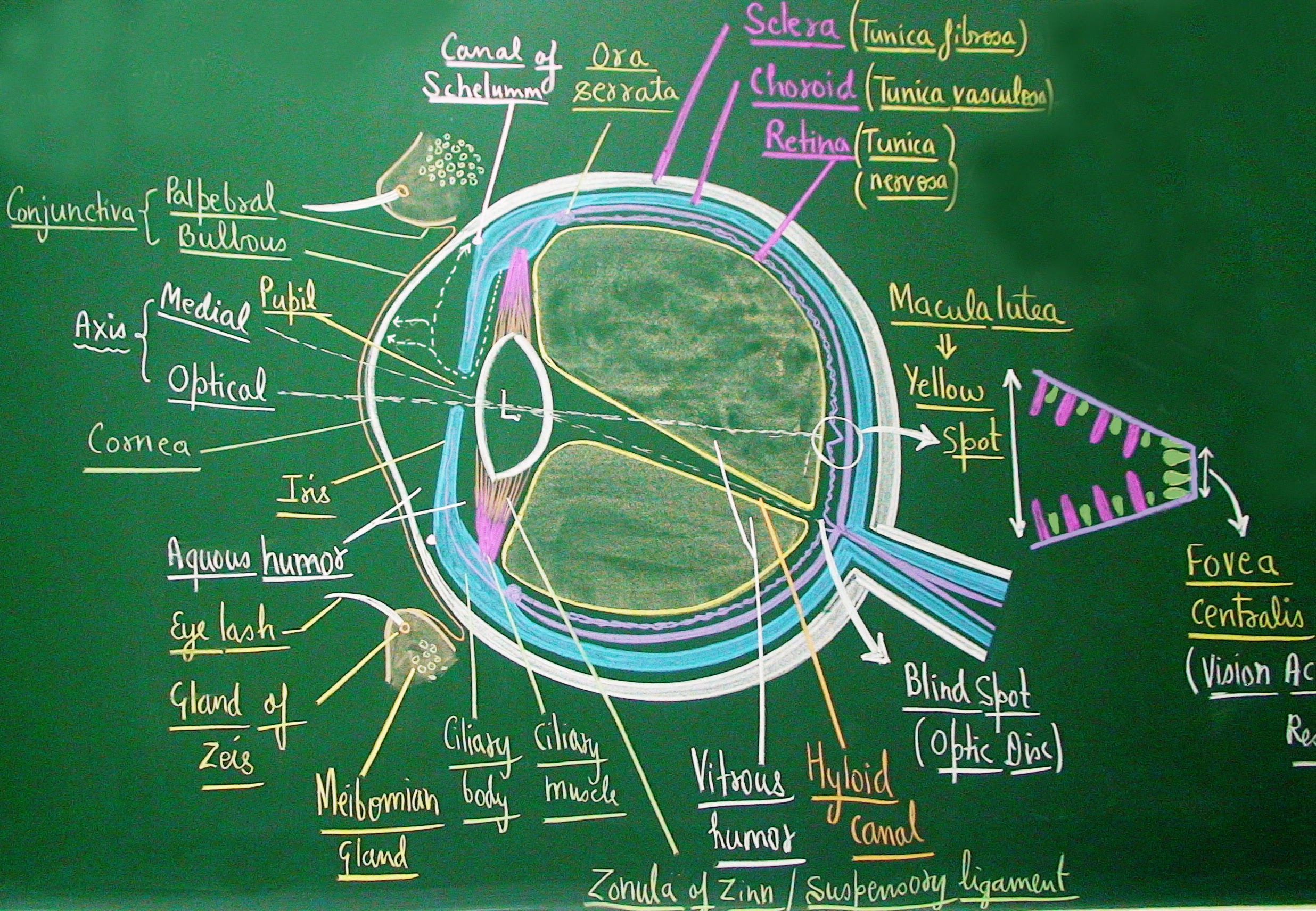 The Value Blindspot: How We Became Rich, but Forgot to Notice
